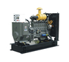 Digitz diesel generator set